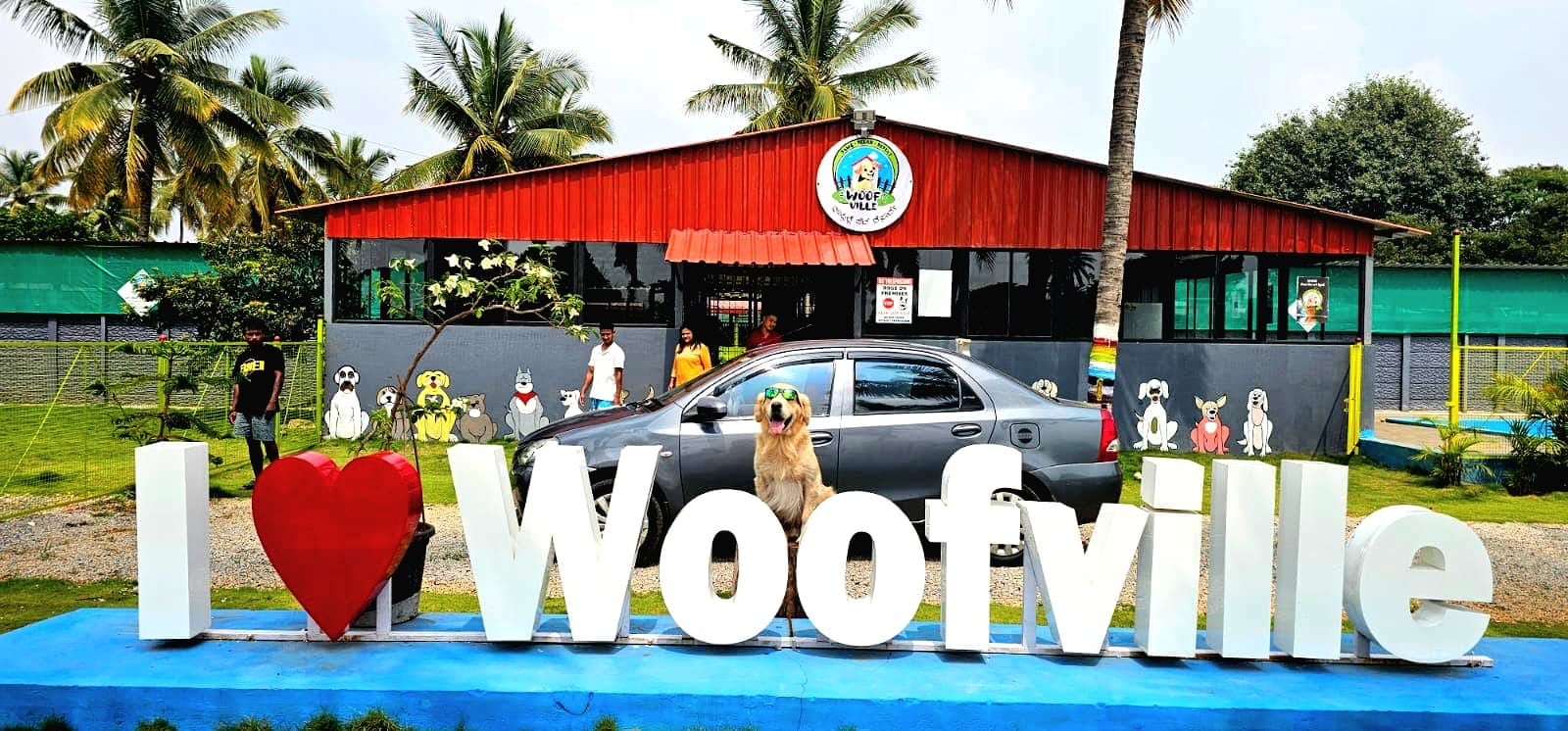 Pet enjoying home boarding